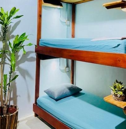 Hostal Holbox Exterior foto
